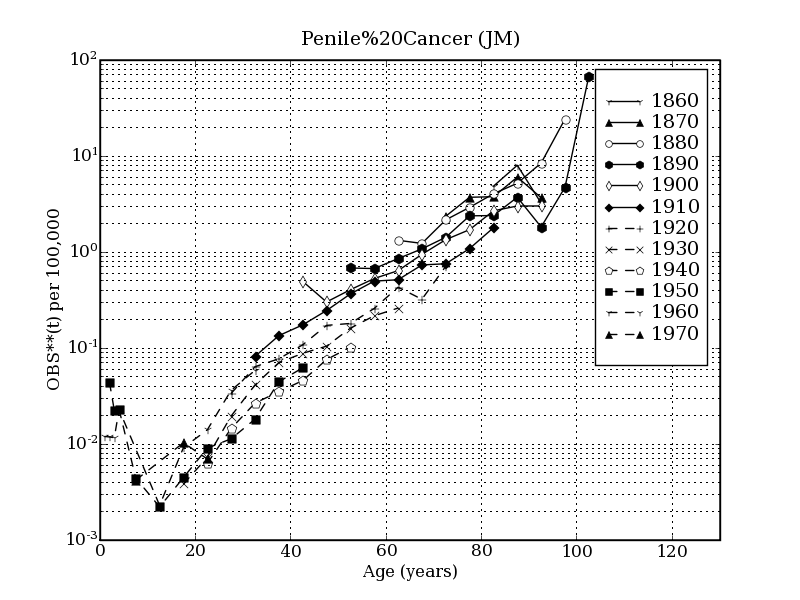 penileread about gt penile penilemar almost unheard of current ...